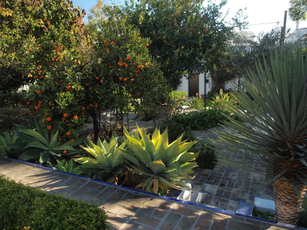 La Francesa Suites Μάλαγα Εξωτερικό φωτογραφία